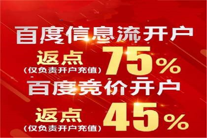 百度竞价推广实战：某电商平台的销售增长秘诀